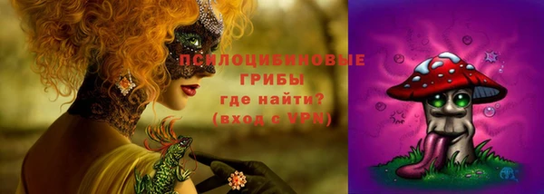 мдпв Козельск