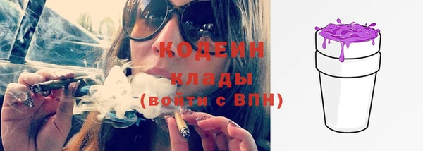 трава Кодинск