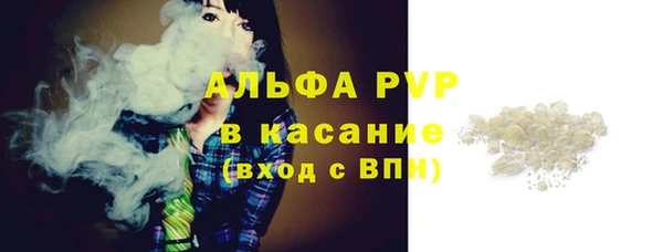 мдпв Козельск