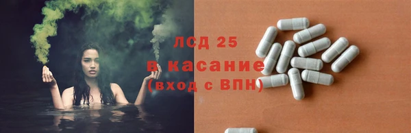 трава Кодинск