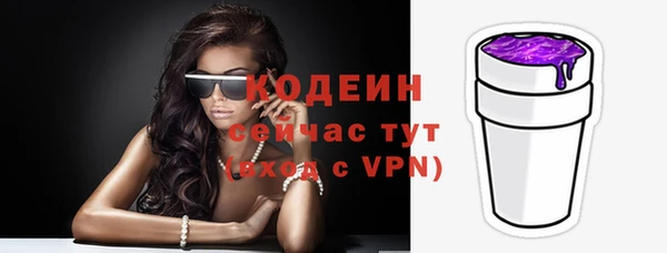 мдпв Козельск