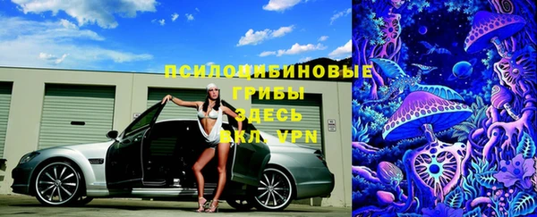 мдпв Козельск
