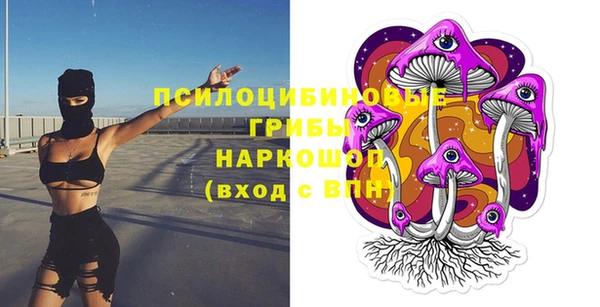 мдпв Козельск