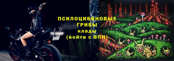 мдпв Козельск
